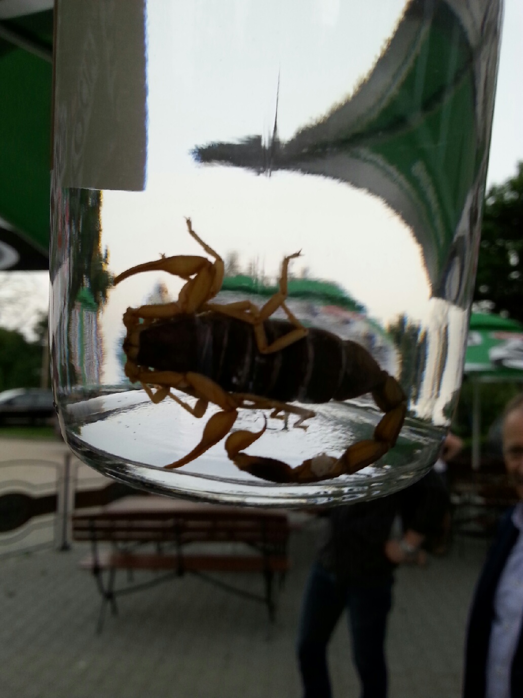 20140523_202259.jpeg