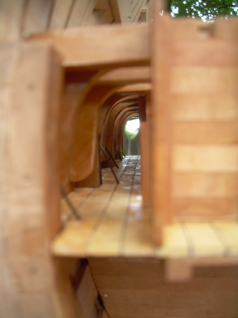 DSCN5230.JPG