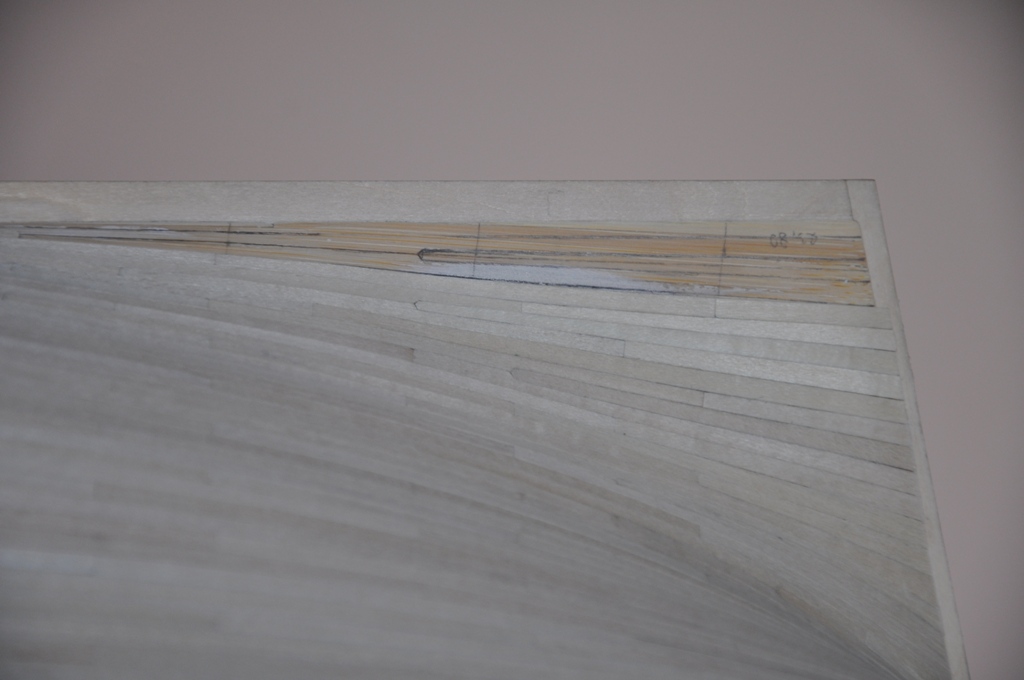 DSC_0829.JPG