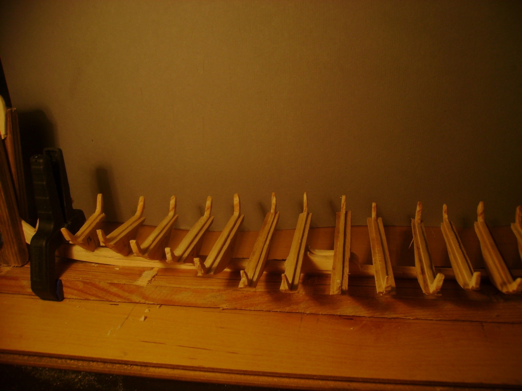 DSC00421.JPG