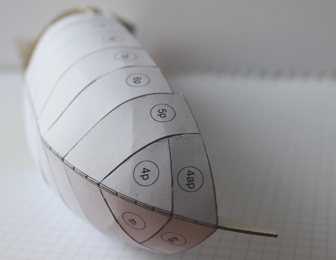 IMG_5463.JPG (500.3 KiB) Przejrzano 8839 razy Pod koniec dodawania wewnętrznego poszycia, mam zamiar jeszcze lekko przelecieć papierem ściernym.