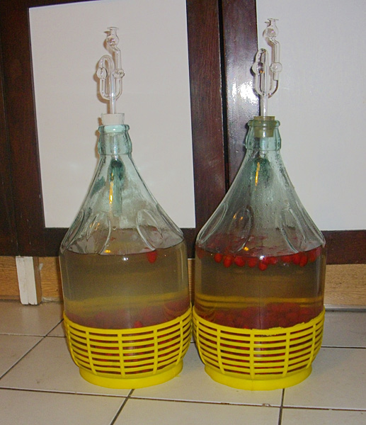 IMGP9123butle.jpg