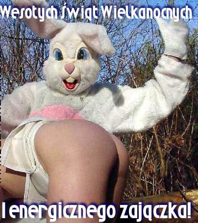 zajączek.jpg