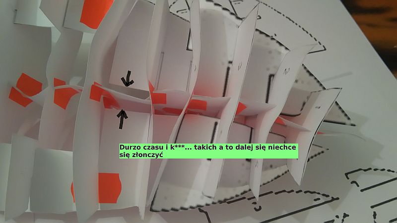 szkielet_0116_.jpg