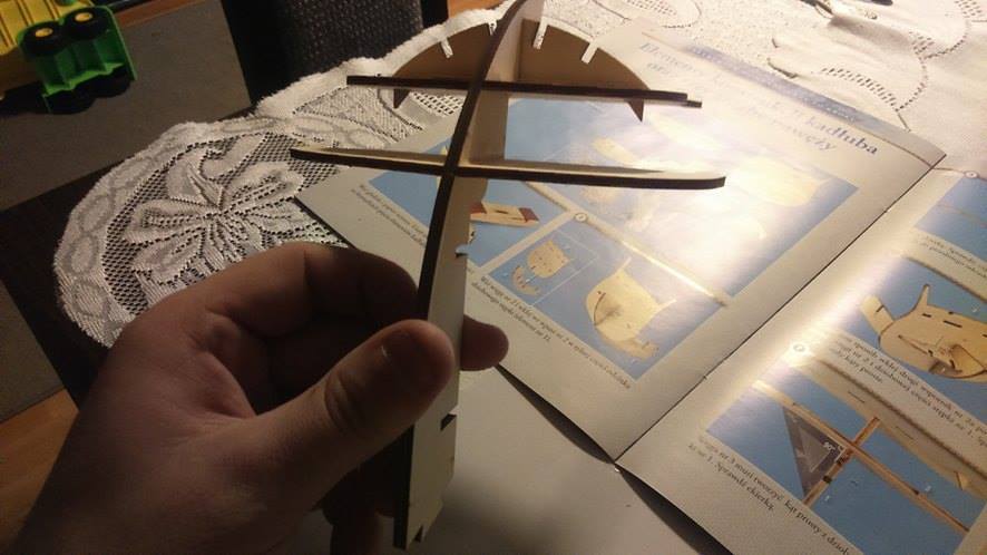 vasa4.jpg