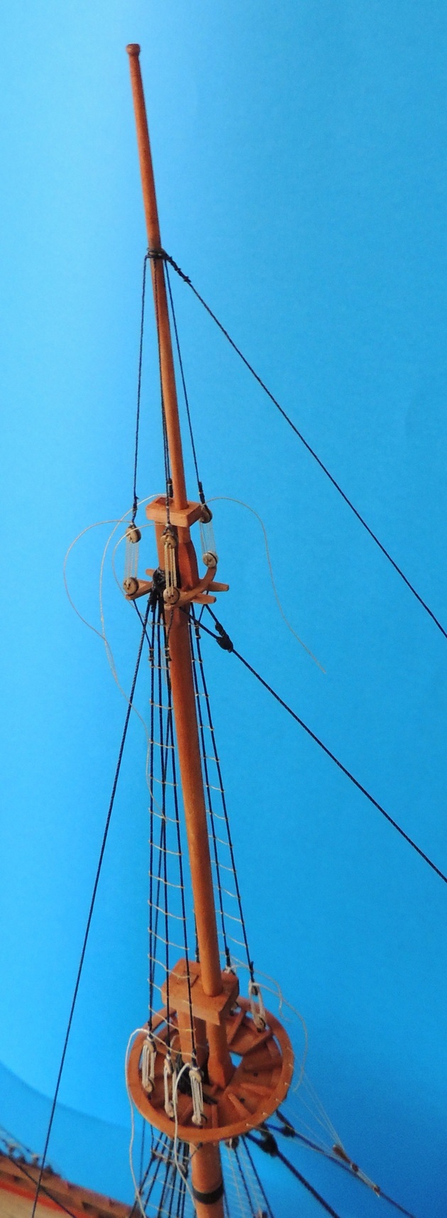 439.JPG