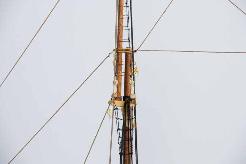 _MG_6603.jpg