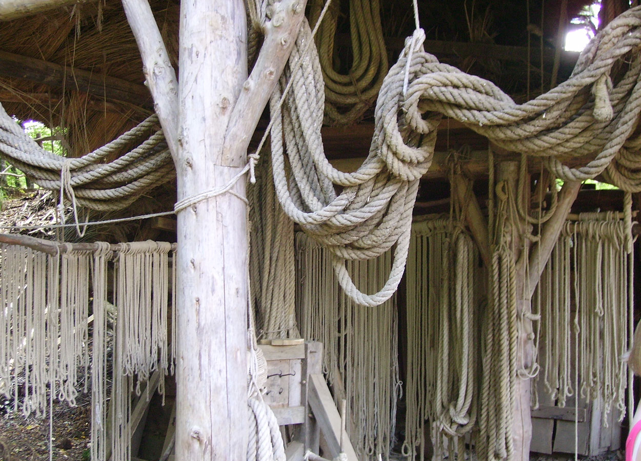PICT0148.JPG