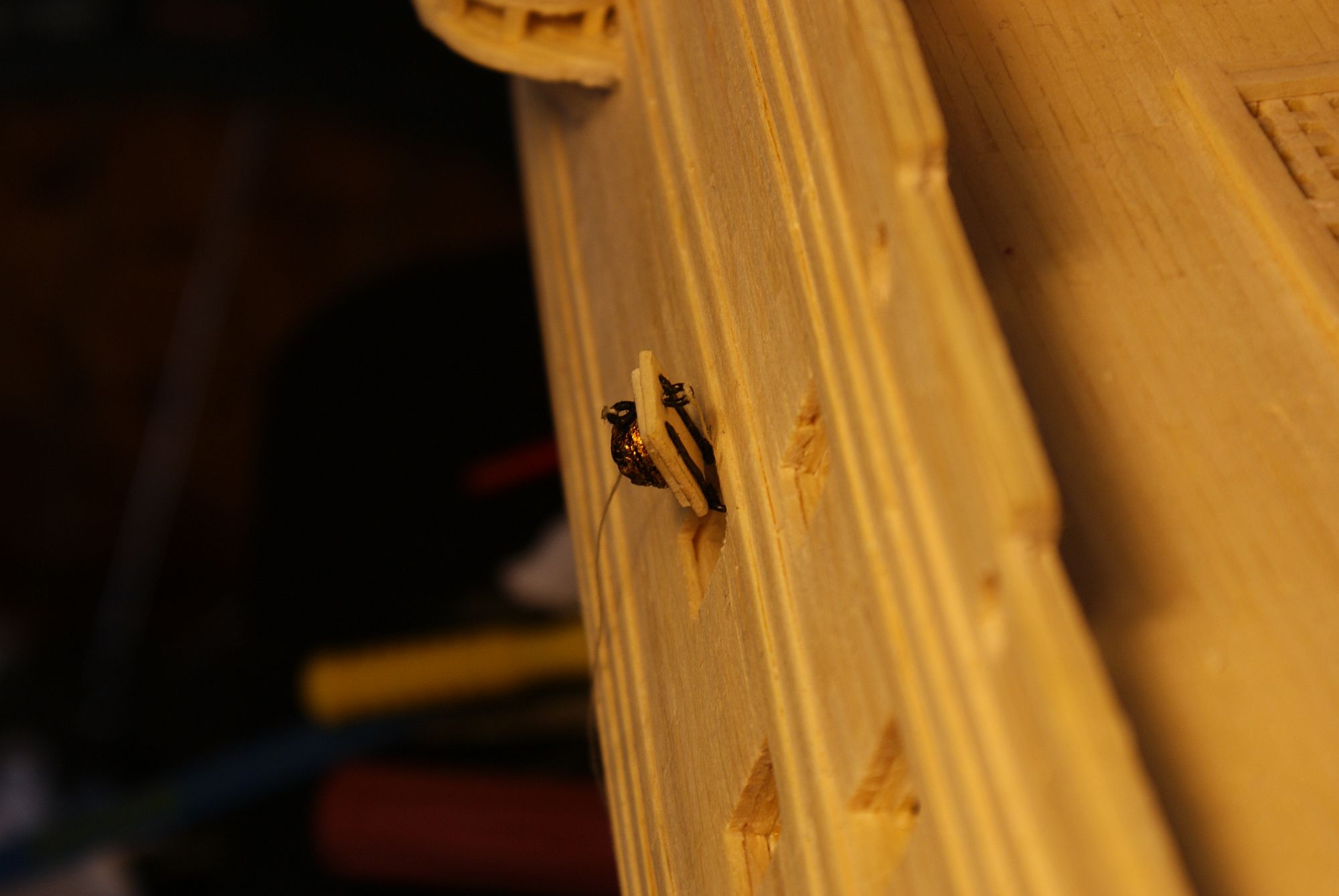DSC03621.JPG