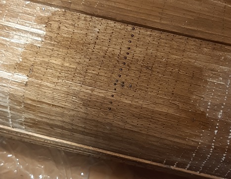 20190620_155343.jpg