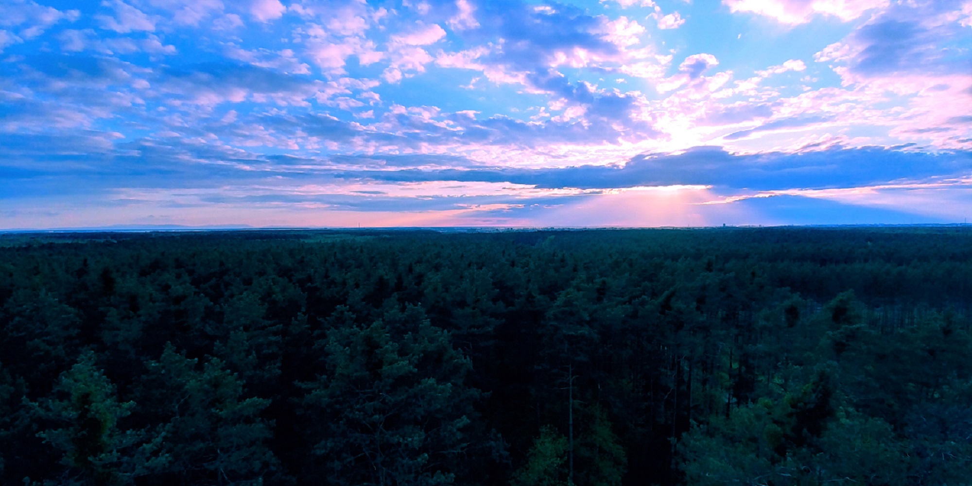 20200502_192537_HDR.jpg