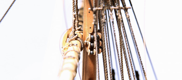 5DM34696.JPG