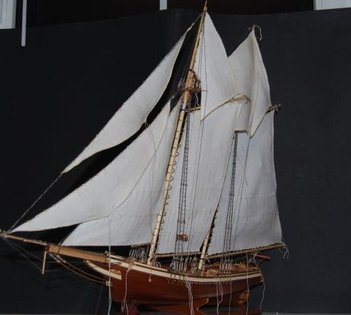 DSC_3767.jpg
