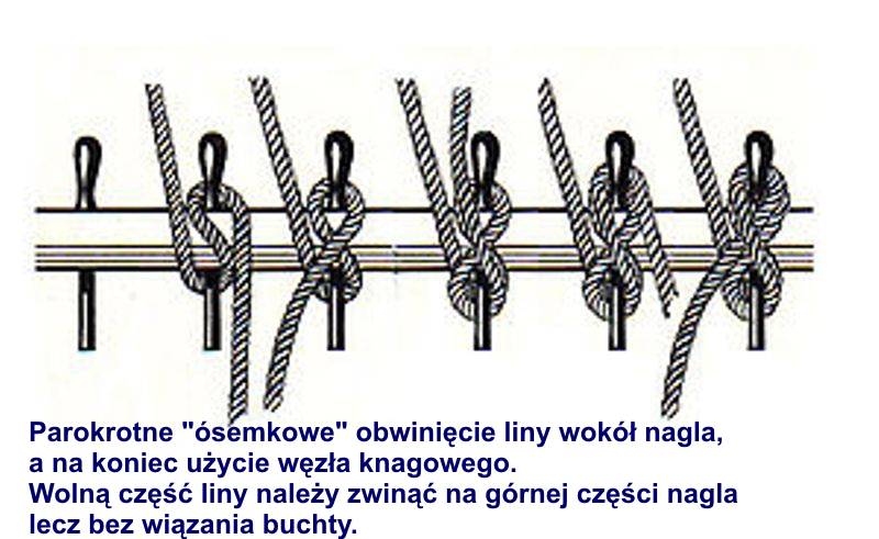 300px-Belaying_sequence.jpg