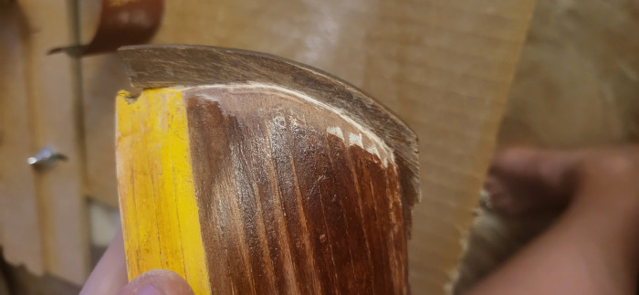 20250331_222009.jpg