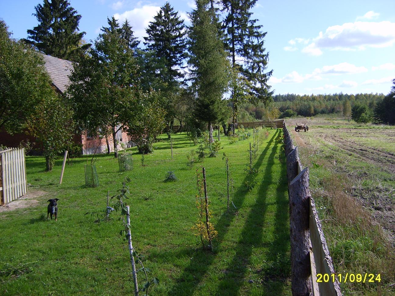 S6000420.JPG
