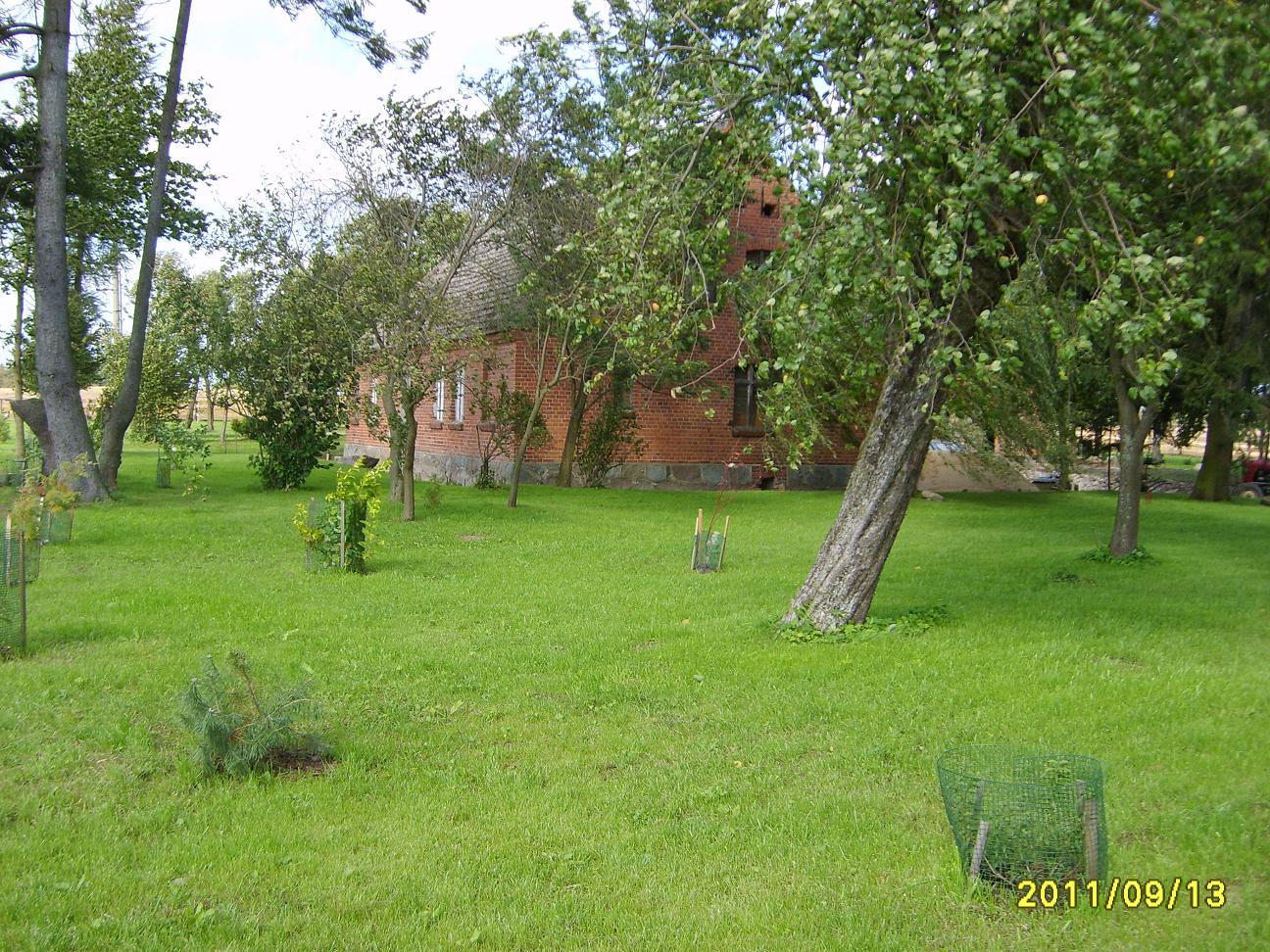 S6000384.JPG