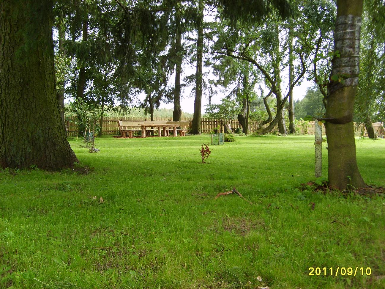 S6000270.JPG