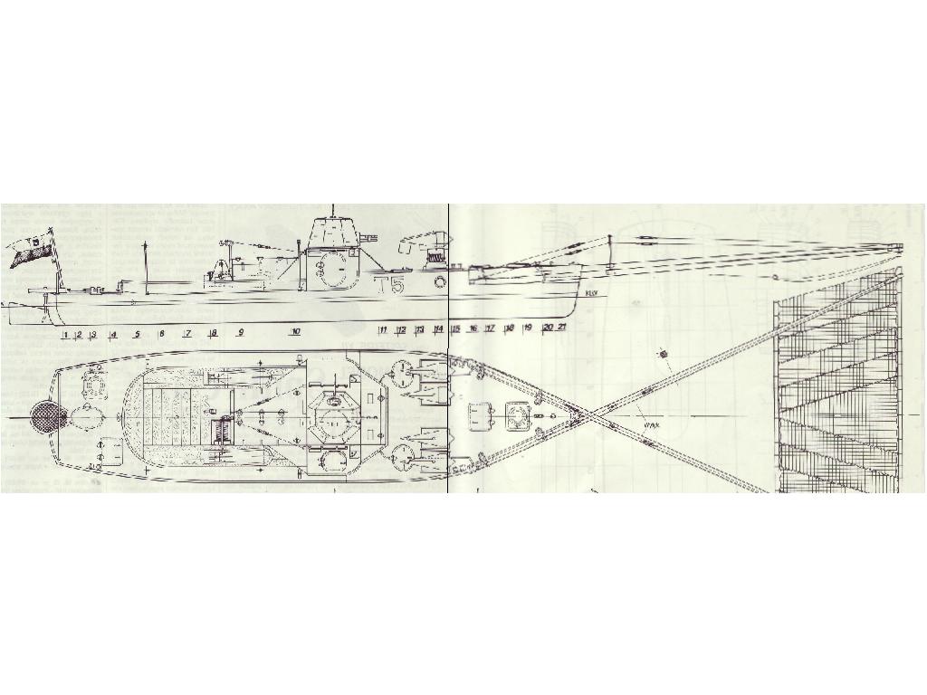 T5 sylweta.jpg