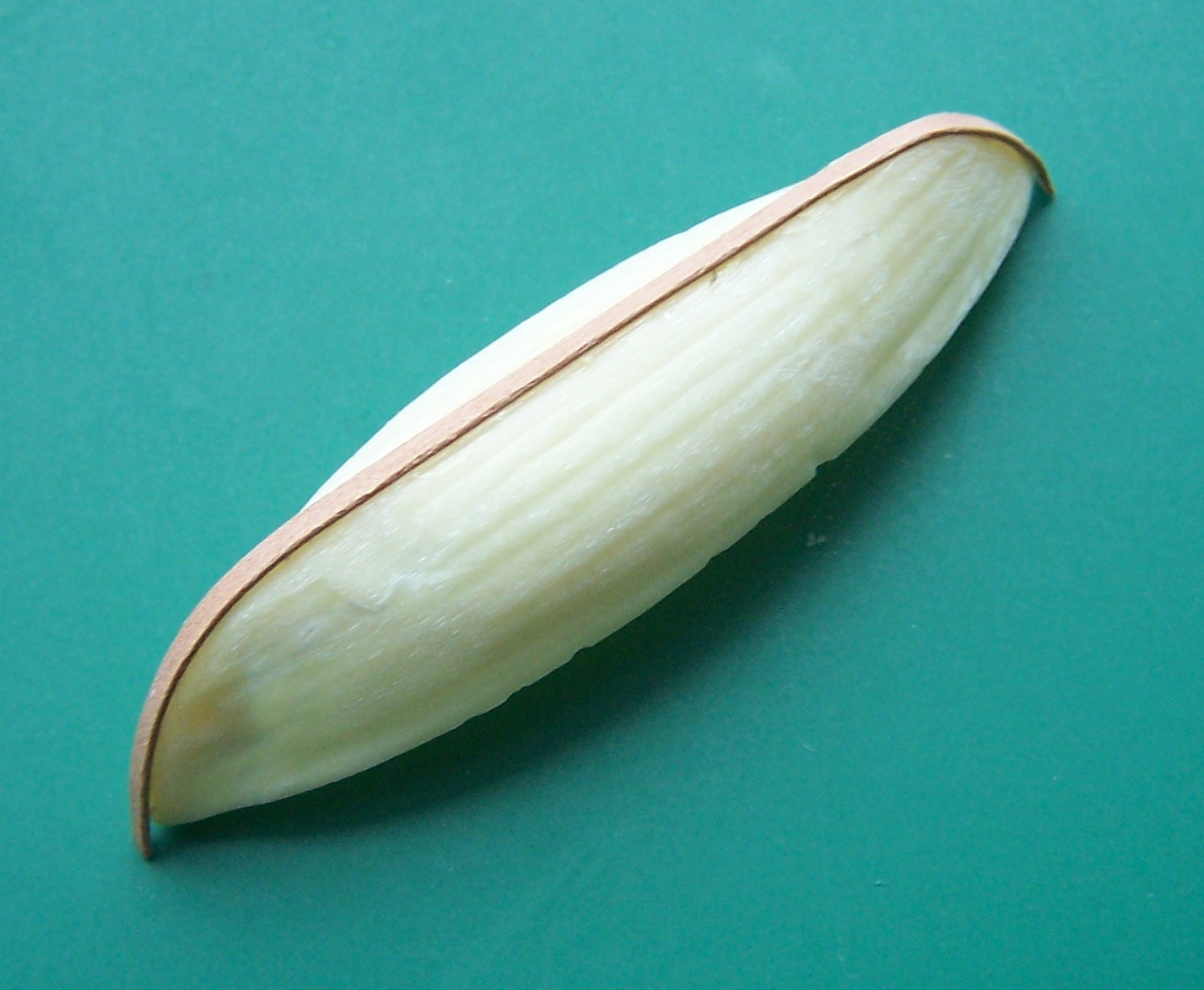 151.JPG